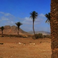 Die Faszinierende Boa Vista